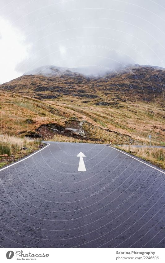 This way! Hiking Nature Landscape Autumn Winter Bad weather Fog Grass Bushes Mountain Deserted Motoring Street Crossroads Road junction Discover Relaxation