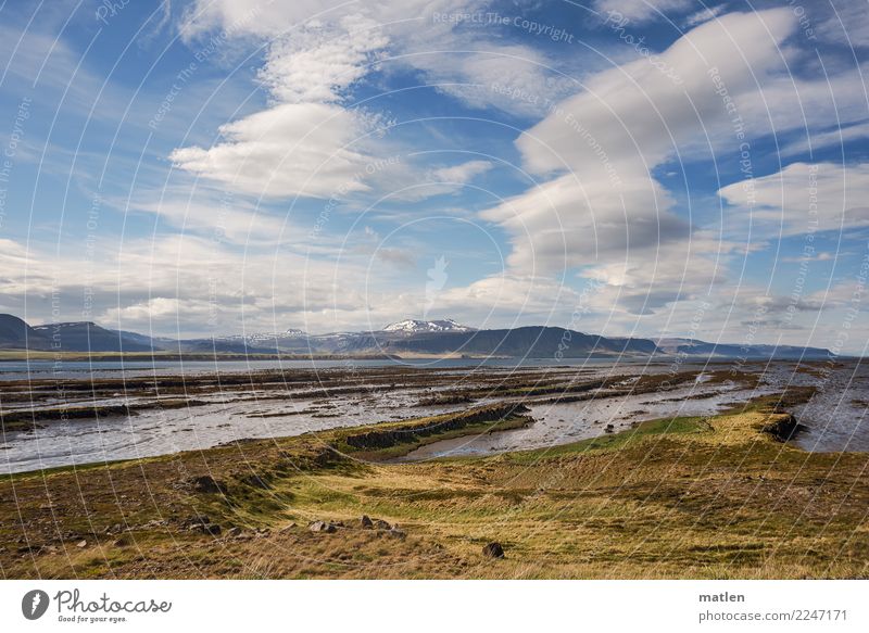 Beautiful weather Landscape Plant Sky Clouds Horizon Spring Wind Grass Moss Rock Mountain Snowcapped peak Coast Beach Bay Ocean Fresh Gigantic Blue Brown Yellow