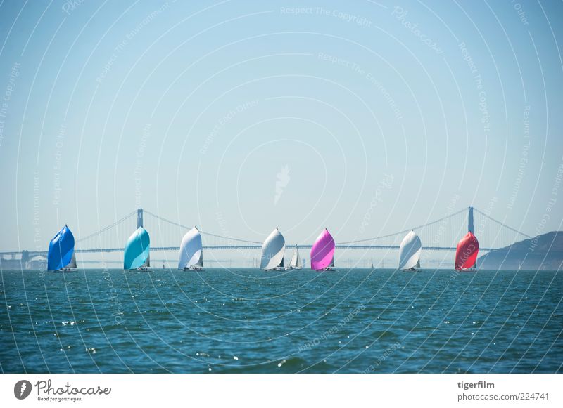 racing sailboats in a row Golden Gate Bridge Bay Blue Watercraft California Championship Colour Row Competition Front end Sail Sailboat San Francisco September