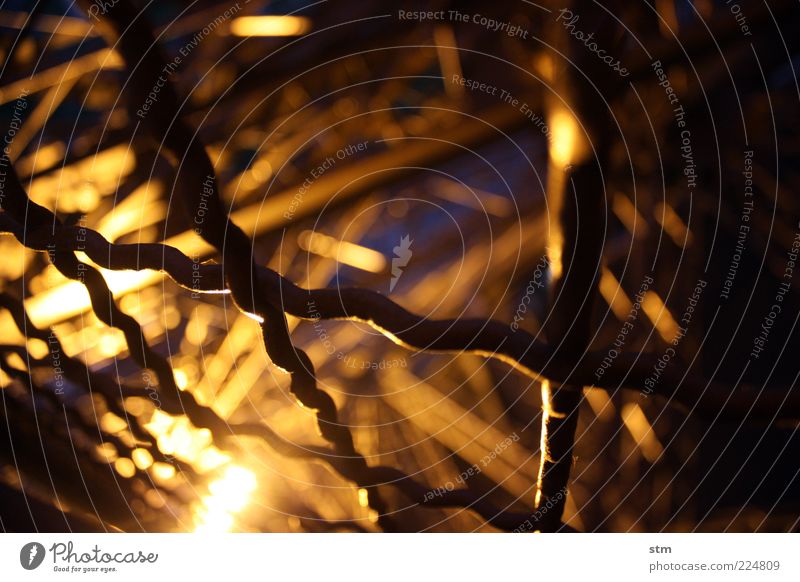 behind bars Tourist Attraction Landmark Monument Eiffel Tower Fence Grating Mesh grid Protective Grating Dark Colour photo Close-up Detail Abstract Pattern