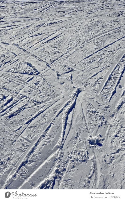 all over the place. Winter sports Skiing Ski run Snow Cold Tracks Holiday season Colour photo Exterior shot Deserted Copy Space top Day Shadow Contrast