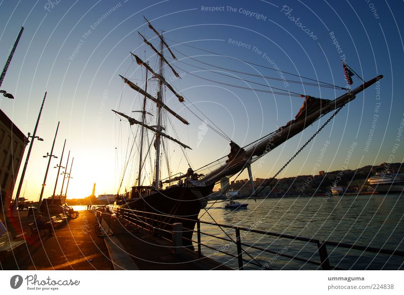 Oslo Port City Deserted Harbour Navigation Boating trip Sailboat Sailing ship Beginning Leisure and hobbies Colour photo Exterior shot Morning Dawn Light