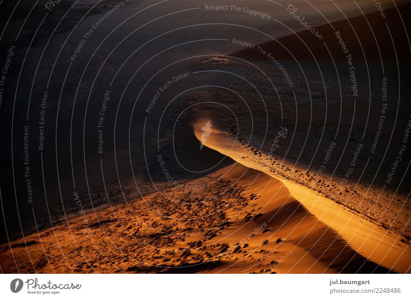 Namibia Sossusvlei Dunes Nature Landscape Earth Sand Desert Gold Colour photo Exterior shot Deserted Morning Dawn Light Shadow Light (Natural Phenomenon)