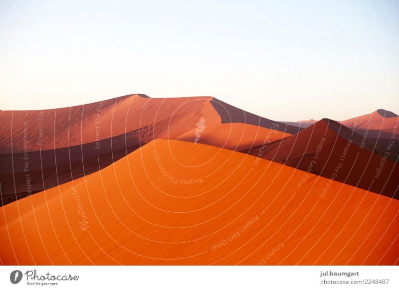 Sossusvlei Namibia Nature Landscape Earth Sand Sky Desert Africa Red Infinity Vacation & Travel Dune Colour photo Exterior shot Deserted Morning Dawn Day Light