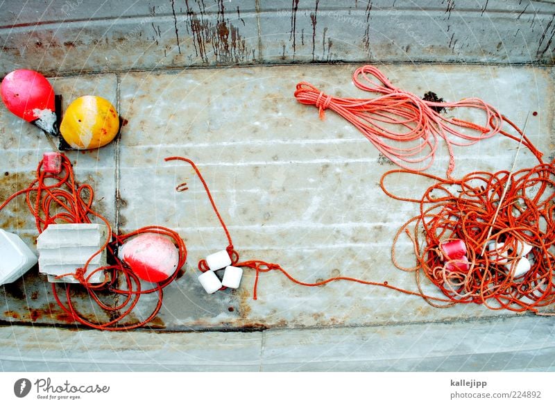 Cast off! Navigation Boating trip Fishing boat Motorboat Dinghy Rowboat On board Work and employment Orange River Leine Rope String Buoy Pontoon Fishery Metal