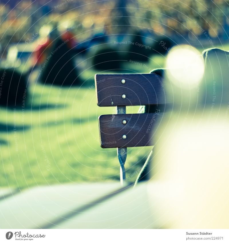 late summer evening delight Chair Garden chair Table Colour photo Exterior shot Detail Evening Twilight Light Shadow Blur Central perspective Outdoor furniture