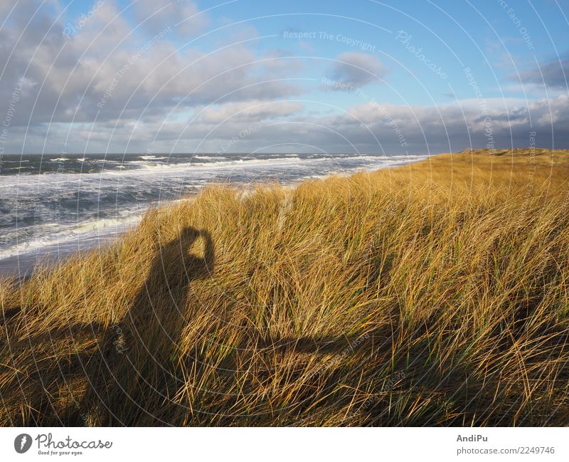 Morning mood at the coast of Hörnum on Sylt Wellness Relaxation Calm Vacation & Travel Tourism Trip Freedom Beach Ocean Island Waves Hiking Nature Landscape