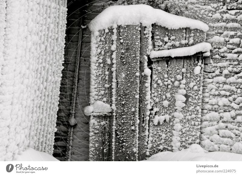 winter door Nature Winter Snow Hut Door Wood Fresh Gray White Exterior shot Deserted Day Long shot Wooden facade Wooden door Ice Copy Space left