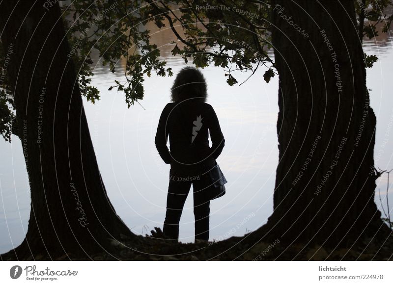 lake view Harmonious Human being Feminine Young woman Youth (Young adults) Woman Adults 1 Weather Tree Lakeside Loneliness Freedom Emotions Contentment Nature