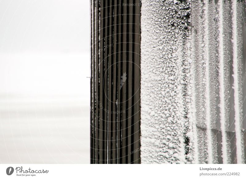 snow dust Environment Winter Ice Frost Snow Chaos Cold Black & white photo Exterior shot Close-up Day Corrugated sheet iron Copy Space left Snow crystal Stick