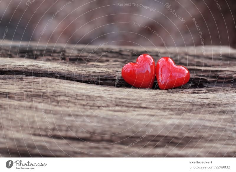 2 hearts Valentine's Day Christmas & Advent Tree Love Passion Background picture Symbols and metaphors Heart Heart-shaped Pottery Wood Red Lovers Together