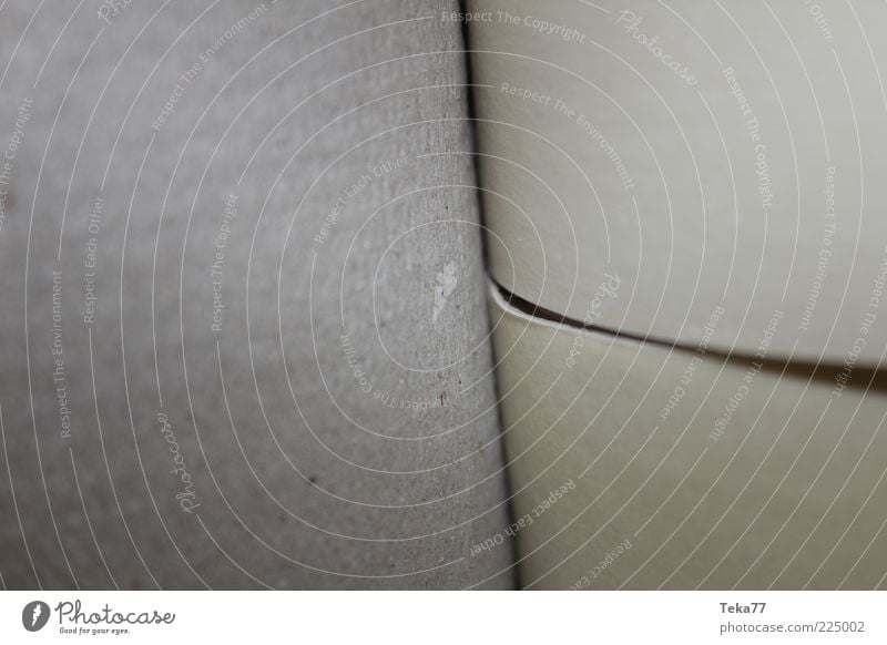 roll by roll Paper Packaging Toilet paper Stripe Dry Gray Detail Deserted Shallow depth of field Section of image Partially visible Copy Space left