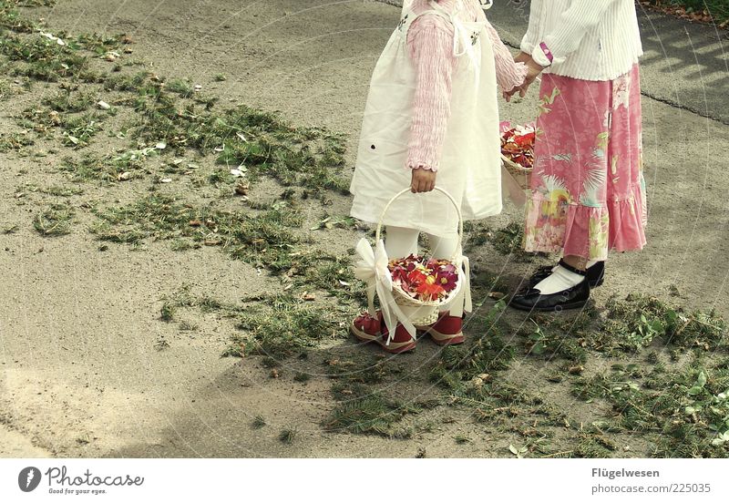 flower girl Well-being Playing Feasts & Celebrations Wedding Parenting 2 Human being Summer Natural Sympathy Emotions Flower Bouquet Distribute Hand Fir needle