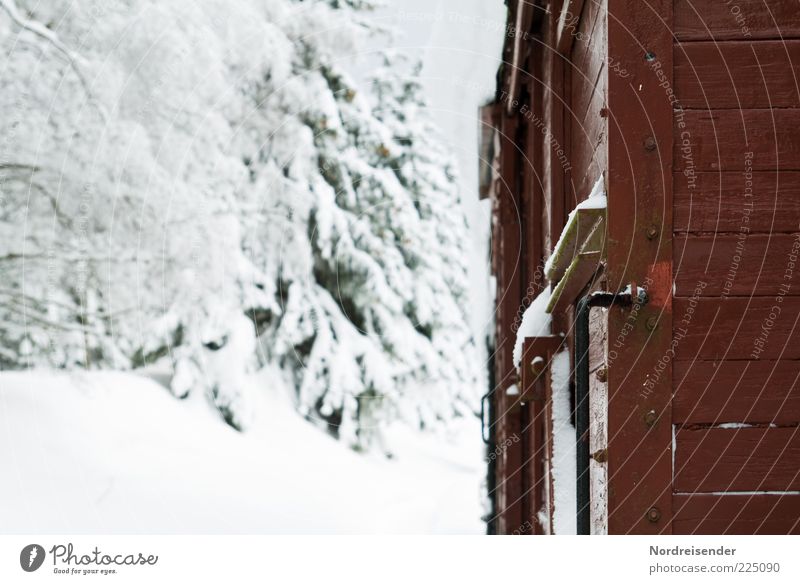 polar express Winter Snow Logistics Nature Landscape Climate Transport Rail transport Railroad Freight train Cold Perspective Stagnating Moody Lanes & trails