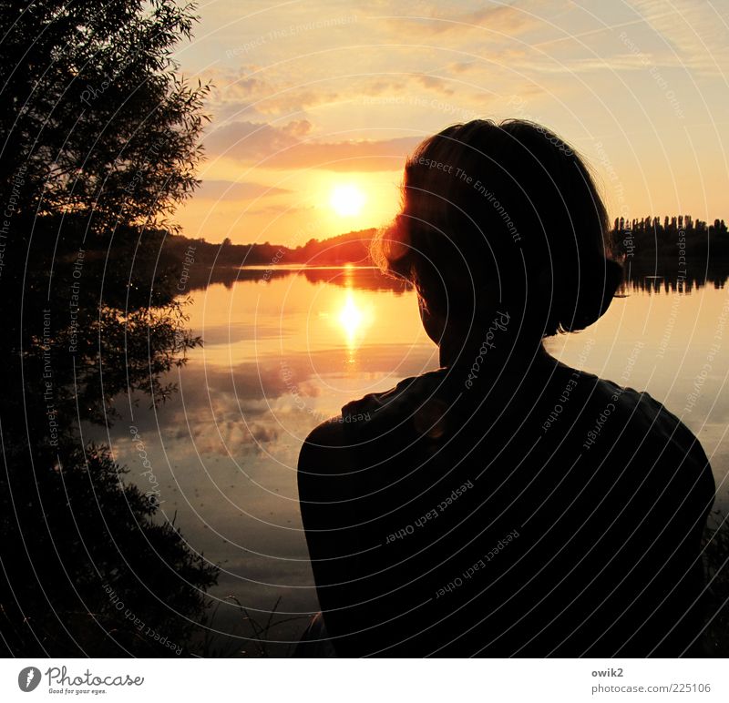 Sunbathing at the lake Vacation & Travel Trip Far-off places Freedom Human being Feminine Woman Adults Partner Hair and hairstyles Back Back of the head 1