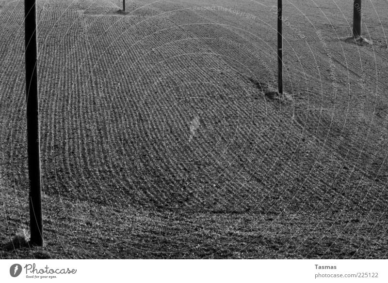 Same Old Thing Landscape Earth Agriculture Field Arable land Authentic Telegraph pole Electricity pylon Black & white photo Exterior shot Deserted Sunlight