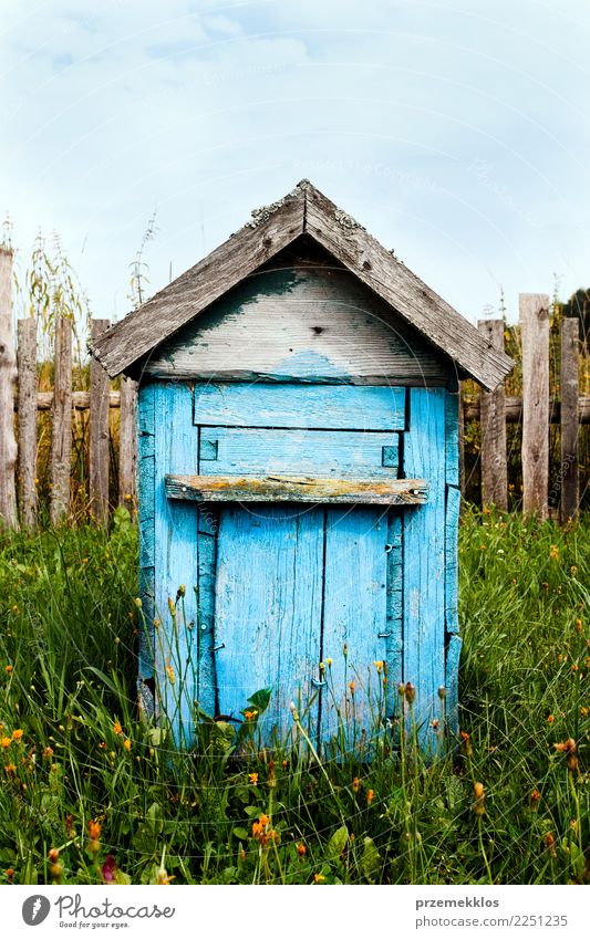 Old wooden hive painted in blue standing in the countryside Garden Landscape Grass Village Bee Wood Farm honey Single Colour photo Exterior shot Deserted Day