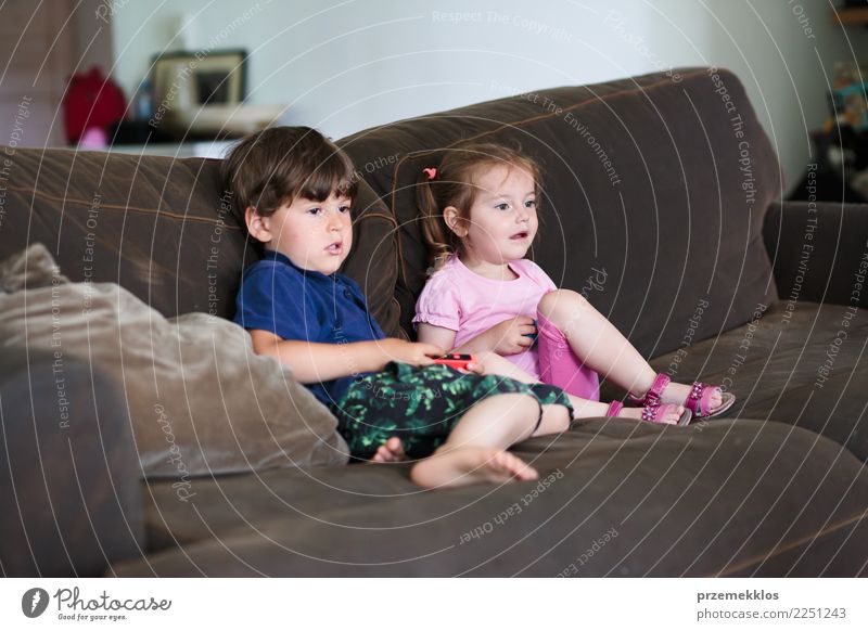 Toddlers boy and girl playing video game sitting on sofa at home Lifestyle Joy Happy Leisure and hobbies Playing Sofa Child Technology Girl Boy (child) Sister