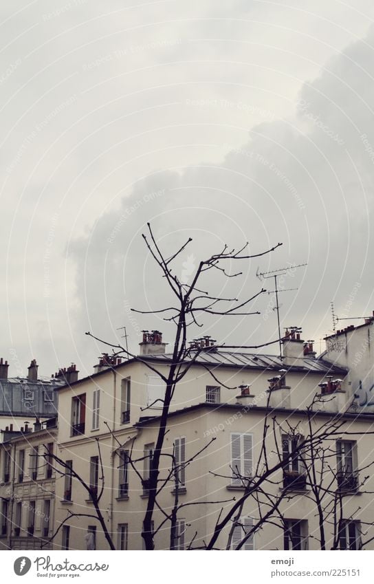 Hotel outlook I Town House (Residential Structure) Building Wall (barrier) Wall (building) Window Cold Gray Branch Sparse Weather Winter Clouds