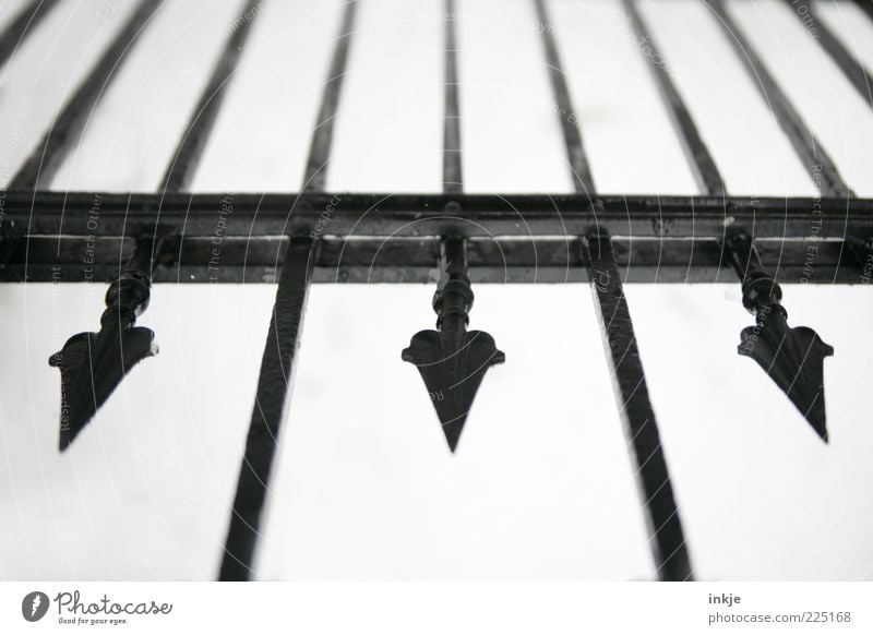 attack of the neighbourhood Gate Fence Metal Line Arrow Point Threat Tall Thorny Black White Dangerous Perspective Defensive Bright background Dismissive