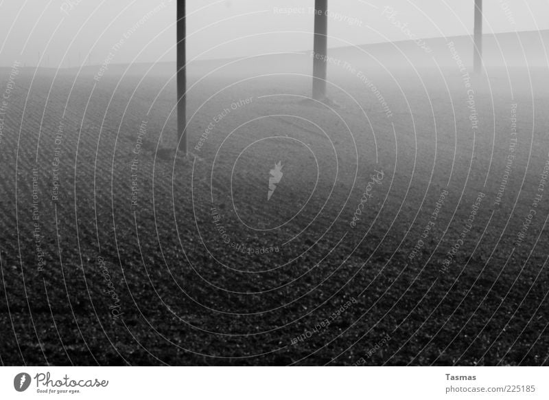 Fog of horror Earth Winter Agriculture Arable land Field Dark Telegraph pole Electricity pylon Black & white photo Exterior shot Deserted Ground fog Morning fog