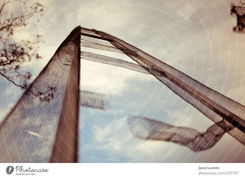 Ladder Match Art Work of art Old Sky Broken Rung Perspective Wide angle Colour photo Exterior shot Deserted Day Shallow depth of field Upward Skyward Vertical