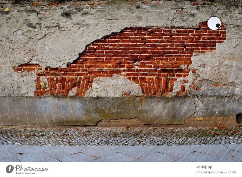 petrifaction Looking Wall (barrier) Structures and shapes Plaster Broken Fossil Colour photo Multicoloured Light Shadow Contrast Brick wall Street art Eyes