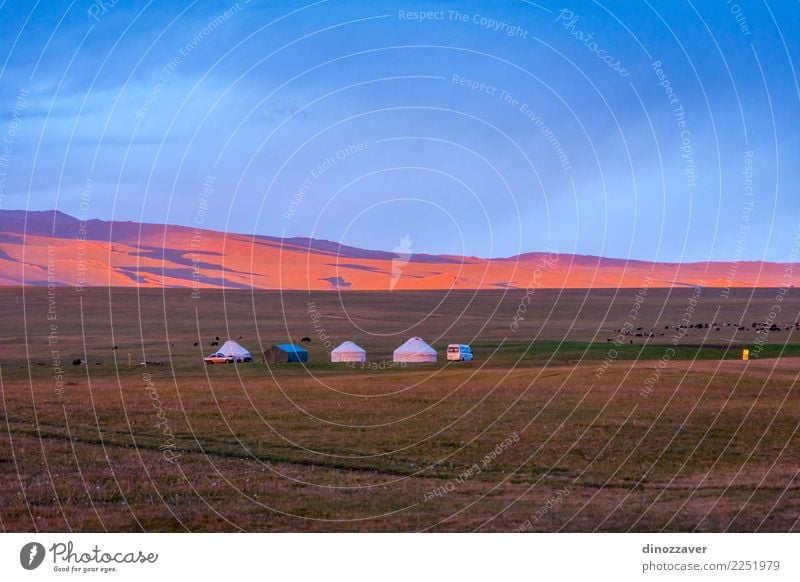 Yurts in sunset, Song Kul, Kyrgyzstan Vacation & Travel Tourism Camping Summer Sun Mountain House (Residential Structure) Culture Nature Landscape Grass Meadow