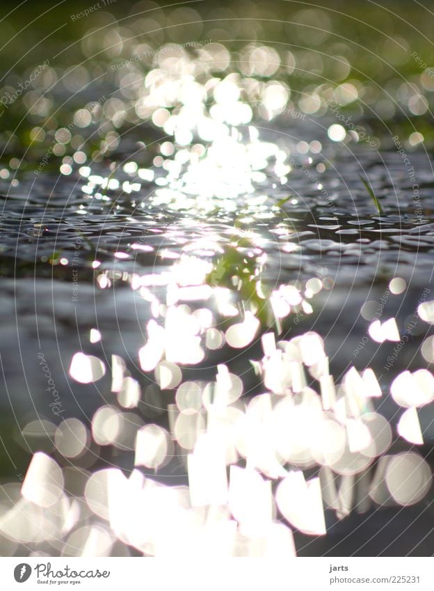 400 Nature Elements Water Beautiful weather Grass Waves Brook Fluid Fresh Natural Contentment Calm Light Colour photo Exterior shot Deserted Day Reflection