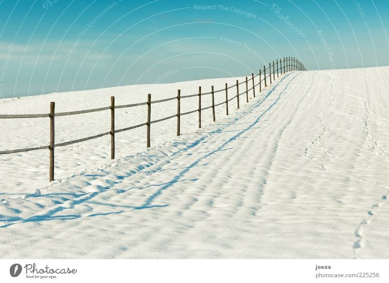 My garden fence. Landscape Winter Beautiful weather Snow Field Old Blue White Fence Border Colour photo Multicoloured Exterior shot Copy Space right Day Light