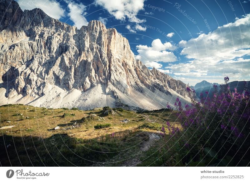 dolomite Hill Rock Alps Mountain civetta Hiking Dolomites South Tyrol Climbing Climbing wall Wall of rock north face Massive Mountain range Colour photo