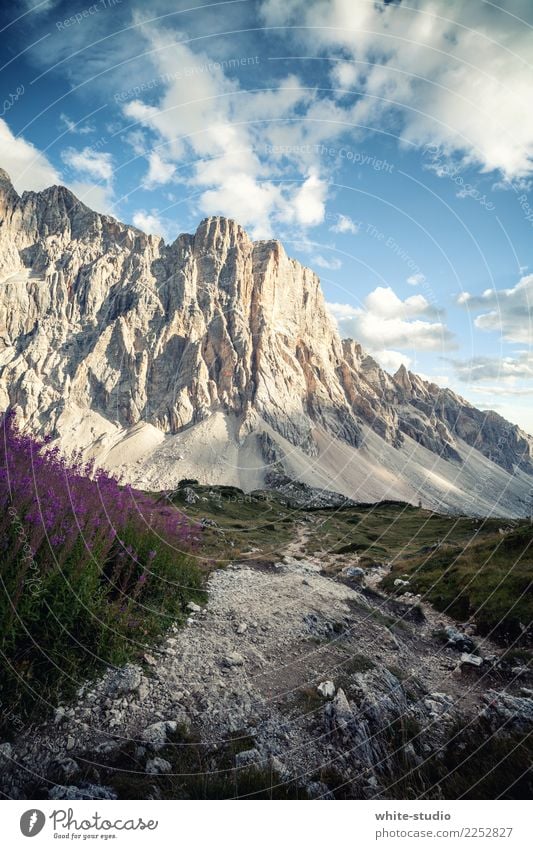 Monte Civetta Environment Nature Landscape Hiking Experiencing nature Hiking trip Wall of rock Mountain Mountain range civetta Climbing wall Steep face Rock