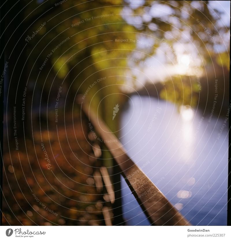 focus. SECOND Environment Nature Elements Water River Esthetic Simple Beautiful Moody Colour photo Exterior shot Deserted Day Light Contrast Sunlight