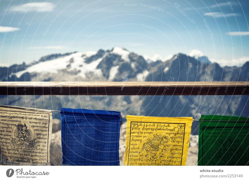 High Top Alps Mountain Peak Snowcapped peak Glacier Hiking Flag Prayer flags Himalayas Nepal Kathmandu Tall Mountaineering Mountain range Ice Vantage point