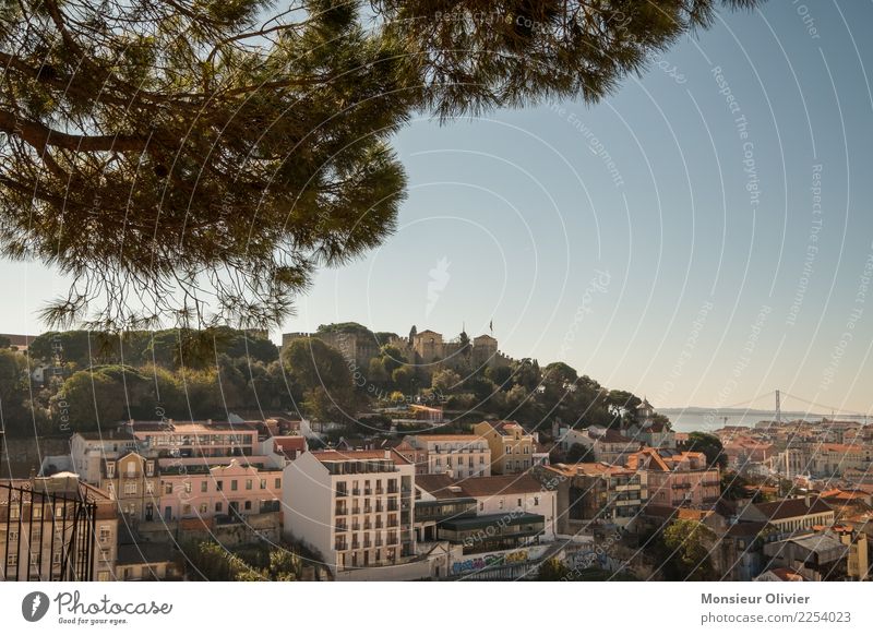 Lisbon Portugal Europe Town Downtown Old town Populated House (Residential Structure) Tourist Attraction Miradouro da Graça Vacation & Travel Tourism