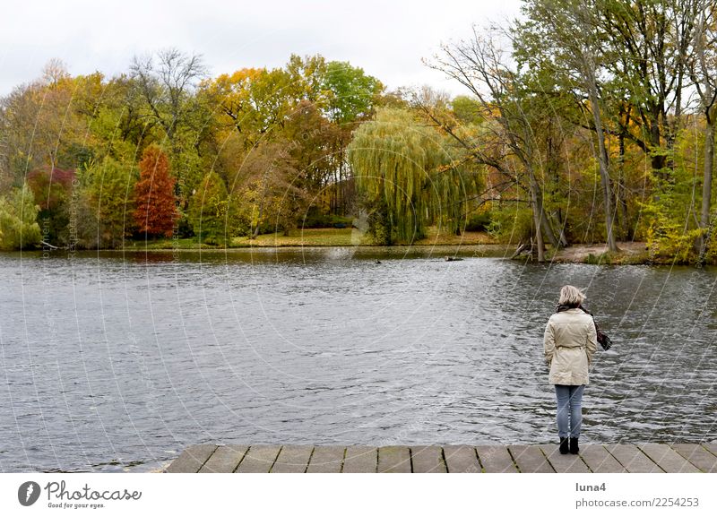 dreariness Meditation Young woman Youth (Young adults) Woman Adults 1 Human being 18 - 30 years Nature Autumn Park Lake Coat Dream Sadness Wait Concern Grief