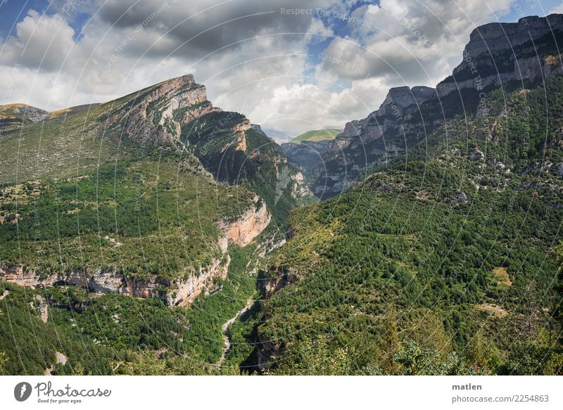 Cañón de Añisclo Nature Landscape Plant Sky Clouds Horizon Summer Weather Beautiful weather Tree Grass Moss Forest Rock Mountain Peak Canyon River bank