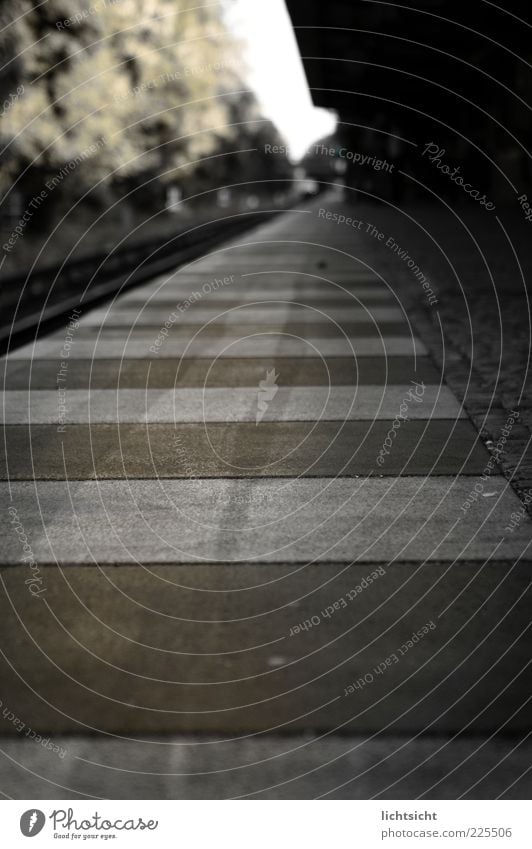 platform edge Deserted Train station Brown Gray Black Fear Dangerous Perspective Stagnating Surrealism Platform Striped Concrete Commuter trains Railroad tracks