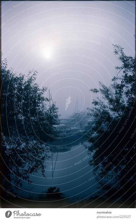 Clobbering man's weather Environment Nature Water Autumn Bad weather Fog Lakeside River bank Havel Navigation Sport boats Yacht Motorboat Sailboat