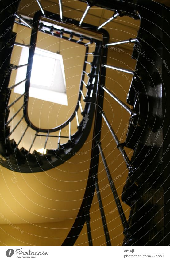 snail sb./sth. Stairs Window Banister Staircase (Hallway) Skylight Go up Above Upward Colour photo Interior shot Day Worm's-eye view Old Deserted Brown