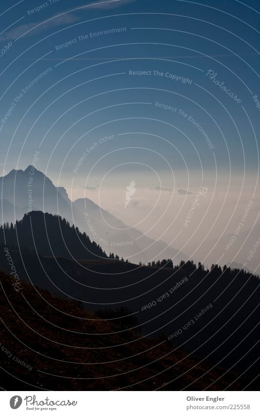 Mountains in Saanen Nature Landscape Air Sky Clouds Sunlight Weather Beautiful weather Storm Fog Snow Alps Peak Stone Bright Blue White Colour photo