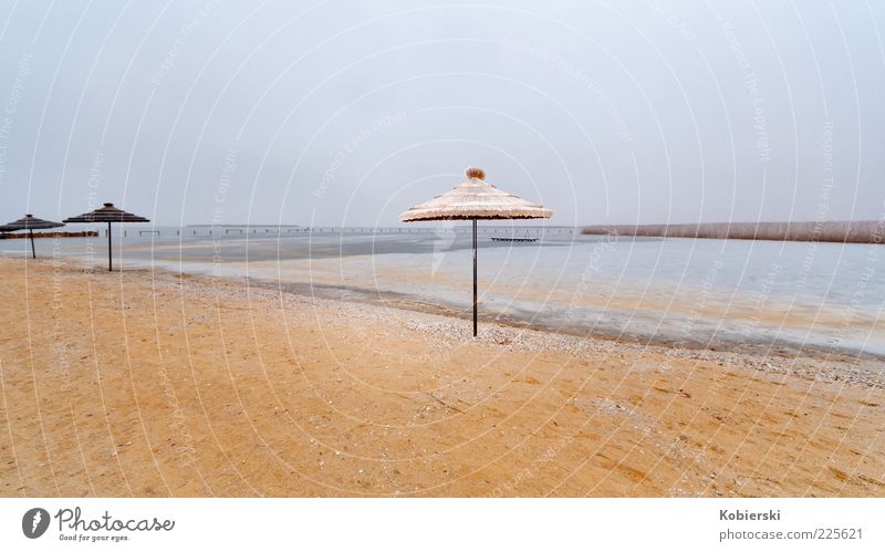 When's it gonna be summer again? Lakeside Deserted Sand Water Blue Brown Serene Loneliness Horizon Nature Calm Lake Neusiedl Colour photo Exterior shot