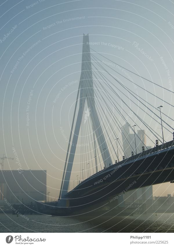 Erasmus Bridge in Rotterdam Town Downtown Deserted Manmade structures Architecture Erasmus bridge Esthetic Tourist Attraction Colour photo Exterior shot Morning