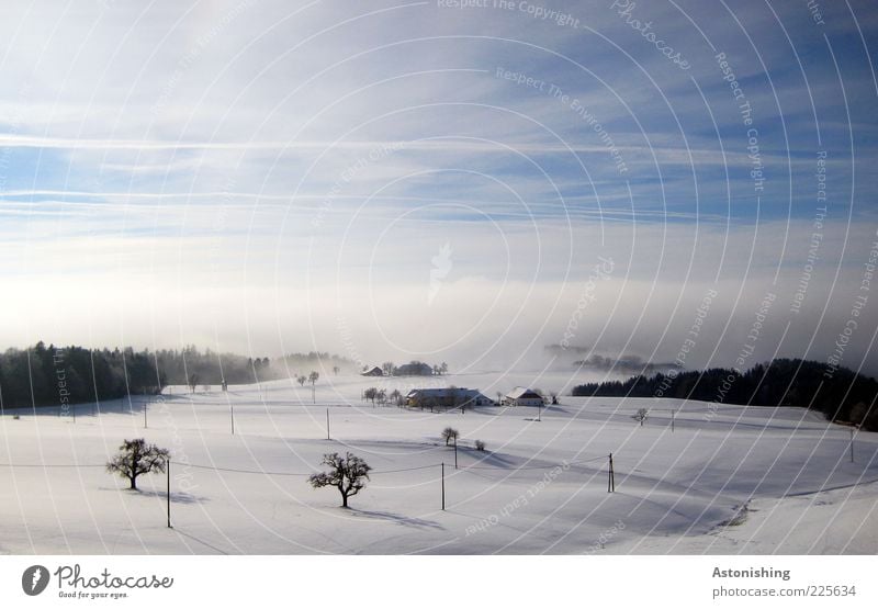 the fog is coming! Environment Nature Landscape Plant Earth Air Sky Clouds Horizon Winter Weather Bad weather Fog Ice Frost Snow Tree Forest Hill Cold Wet Blue