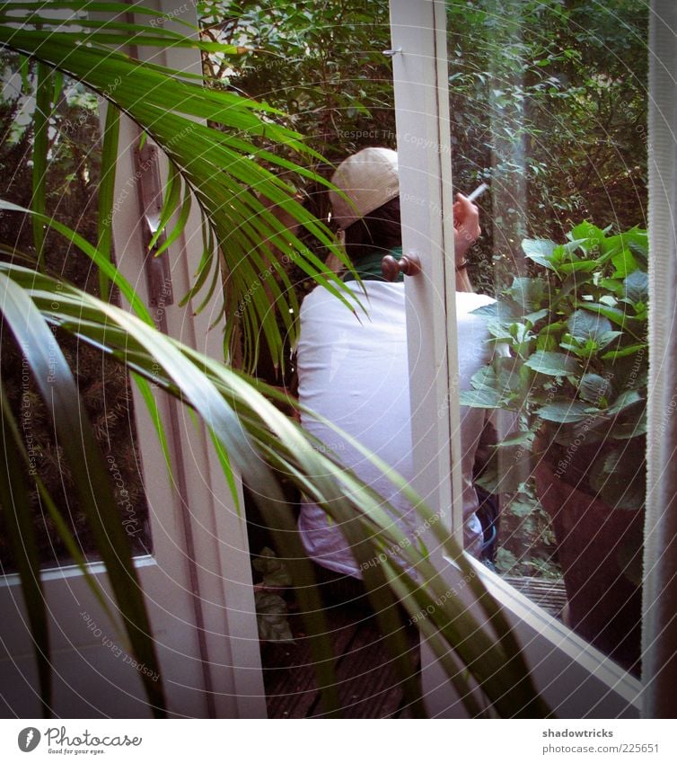 rest Contentment Relaxation Calm Human being Man Adults 1 Smoking Colour photo Day Rear view Plant Balcony Pot plant Leaf Palm frond Slice Window French windows