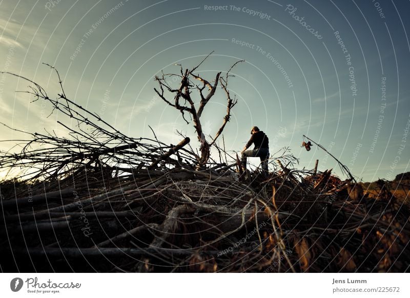 Retired Tree Hugger Human being Masculine Man Adults 1 Old Blue Brown Honest Dream Sadness Grief Disappointment Guilty Shame Remorse Wood Tree trunk Clouds