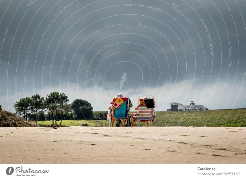 Sitting beyond the mainstream with your back to the sea. Summer Summer vacation Beach Partner 2 Human being 60 years and older Senior citizen Landscape Sand Sky