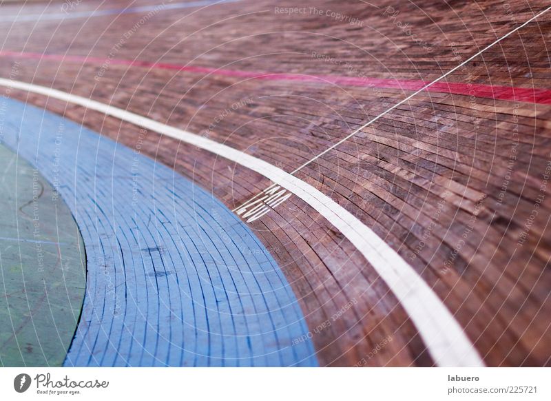 In the curve Sports Sporting Complex Racecourse cycling track Wood Speed Curve Colour photo Interior shot Detail Deserted Shallow depth of field Cycle race