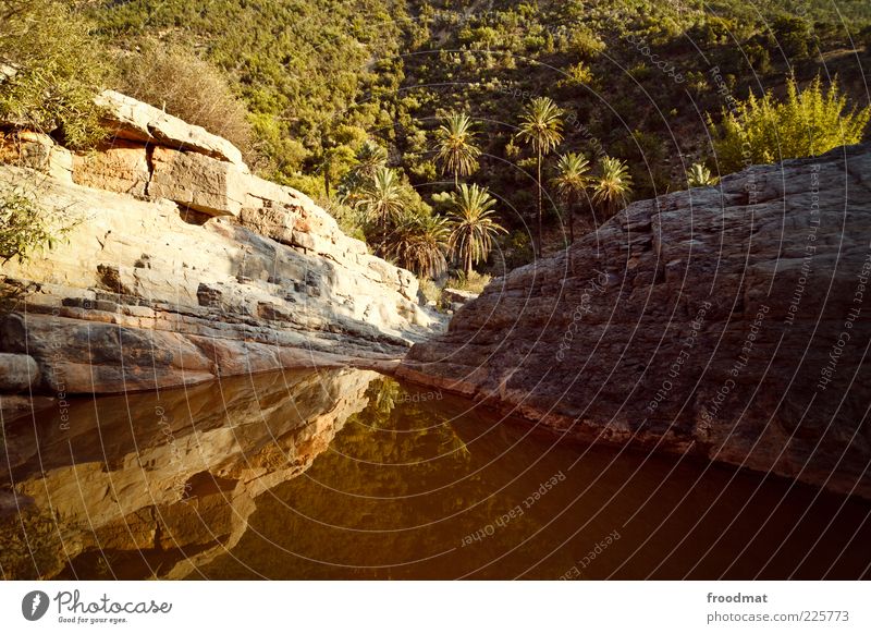 the brown lagoon Calm Far-off places Summer vacation Environment Nature Exotic Natural Romance Wanderlust Morocco Rock Lagoon Palm tree Dirty Idyll Colour photo