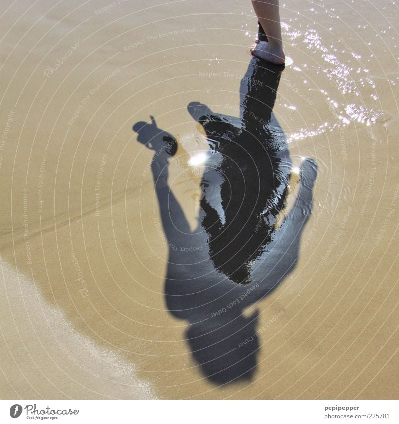 relaxed Relaxation Summer Summer vacation 1 Human being Sand Water Beach Flip-flops Walking Subdued colour Exterior shot Detail Day Shadow Silhouette Sunlight